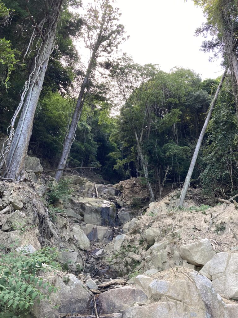裏山
