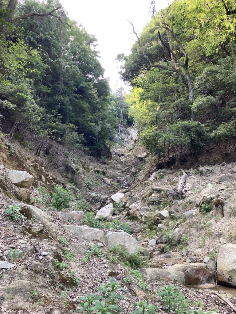 山