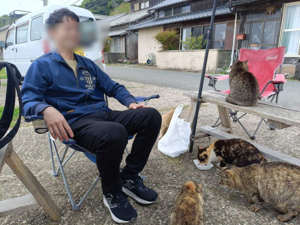 猫にかこまれてる