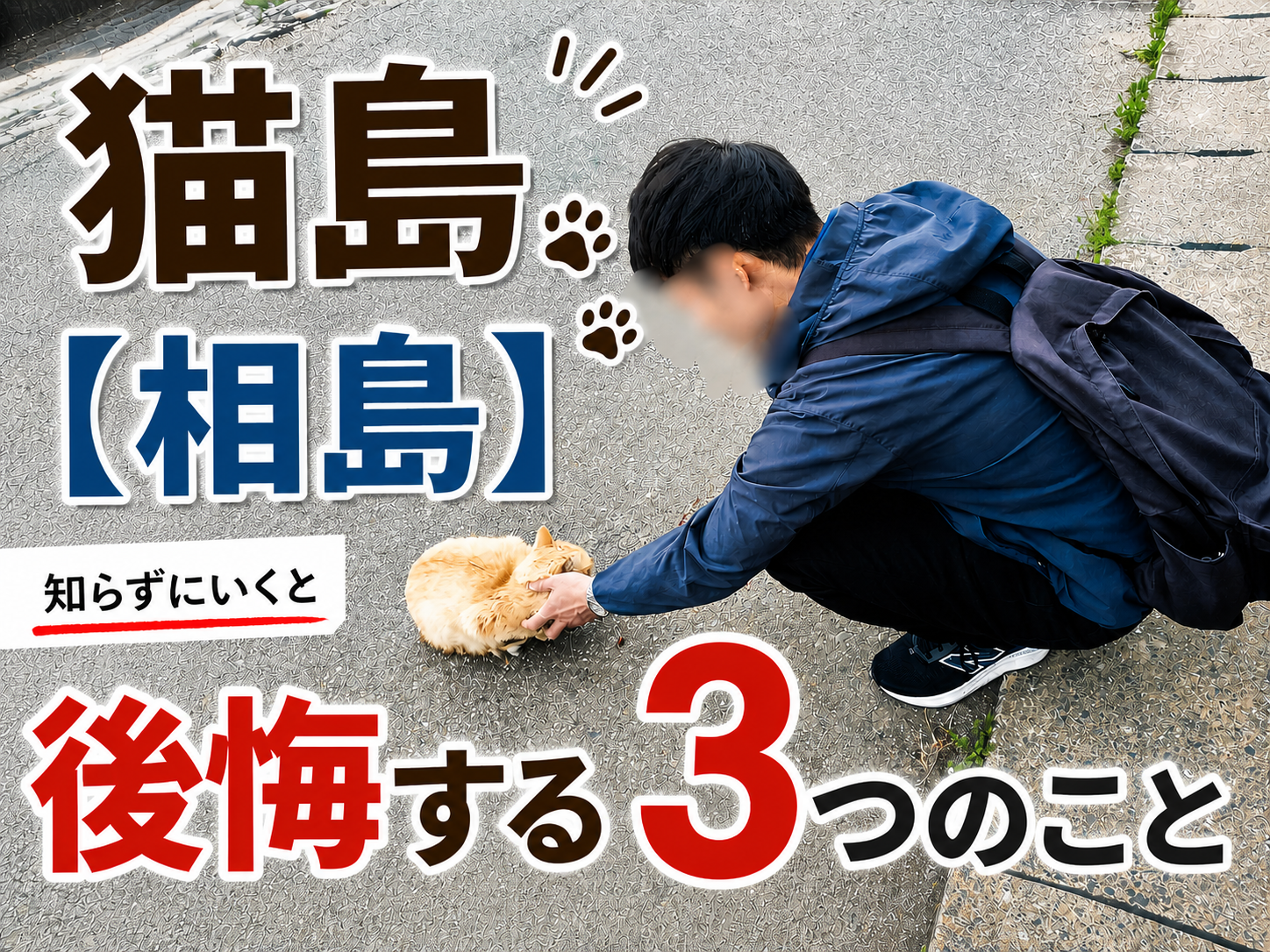 猫島にて