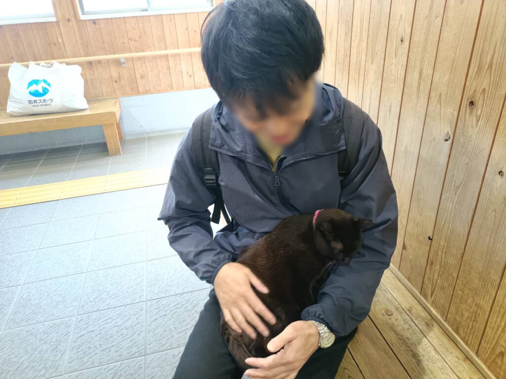 膝の上の猫