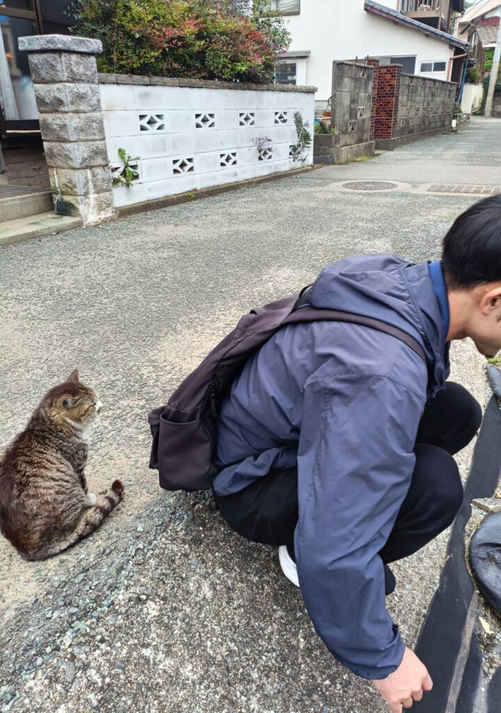 背後に猫